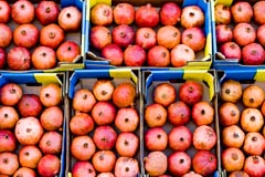 Organic Foods