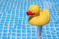 Rubber Duck